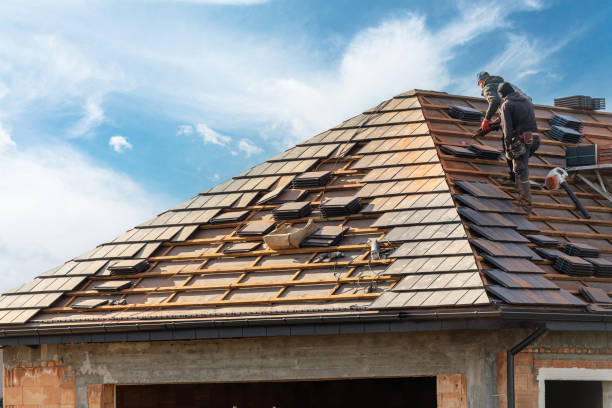 Best Skylight Installation and Repair  in Affton, MO